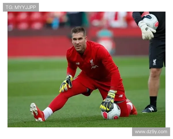 谢菲联新赛季阵容调整与目标展望 深度分析球队未来发展方向